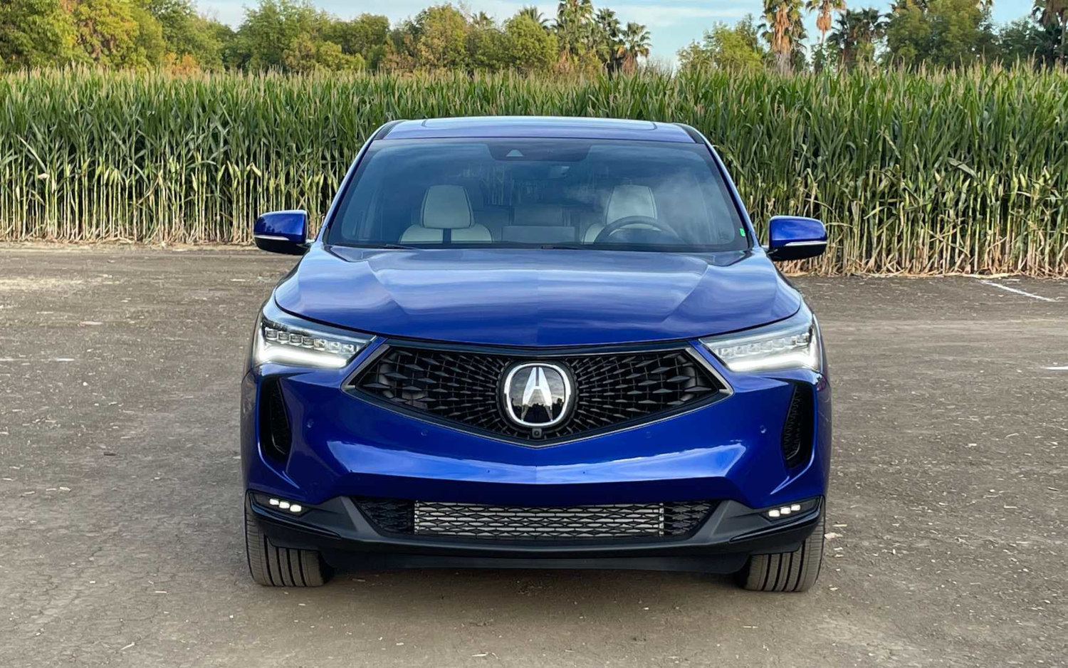 Acura RDX SH-AWD A-Spec 2022 | SUV Drive